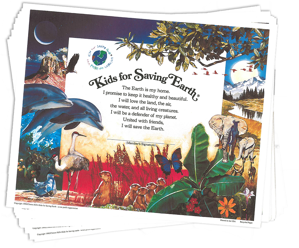 12 Kids For Saving Promise Certificates - Poster (1000x1000), Png Download