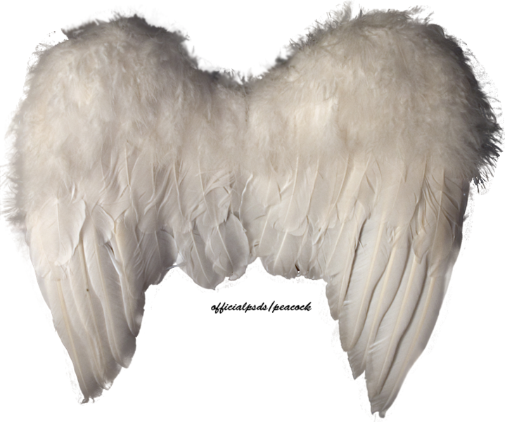 Share This Image - Angel Wings Psd (718x600), Png Download