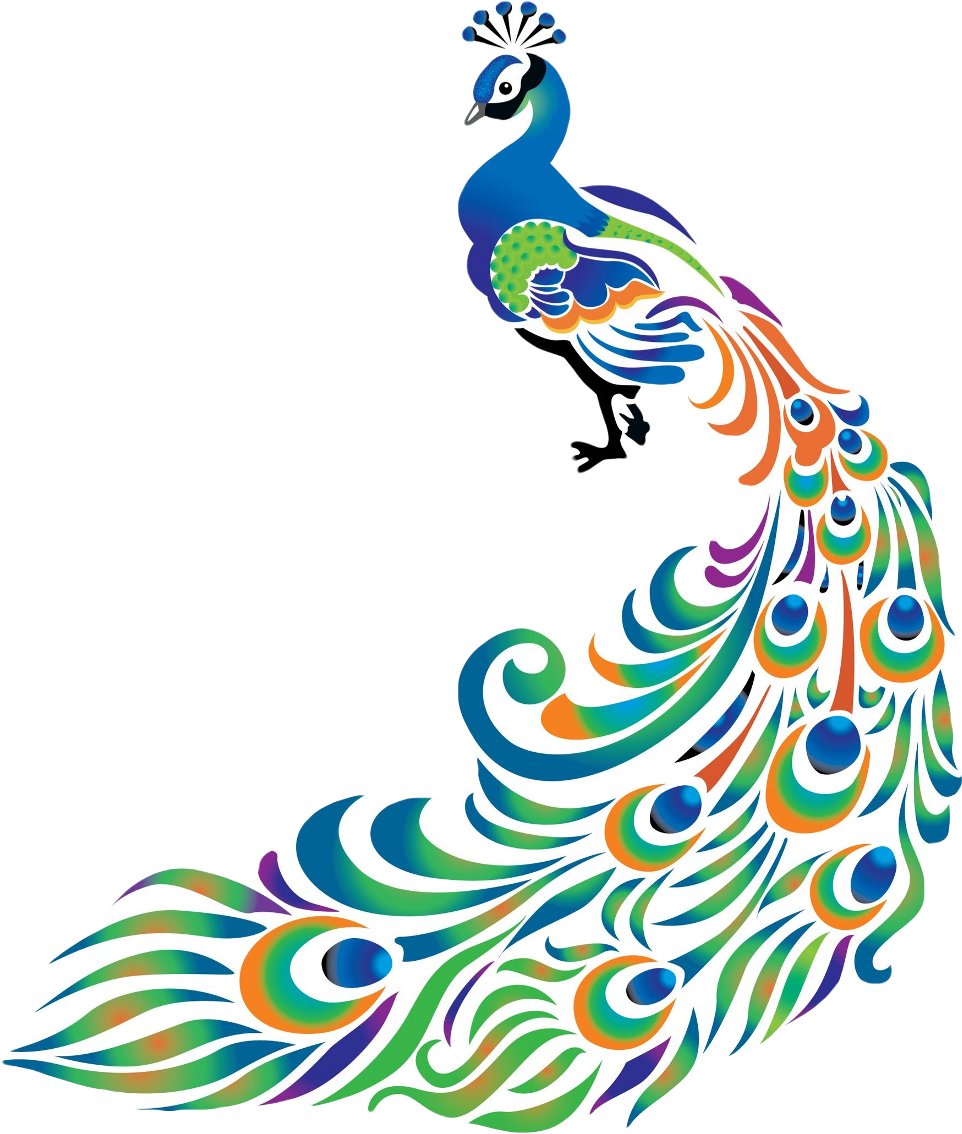 Peacock Feather Feathers Bird Freetoedit (1024x1240), Png Download