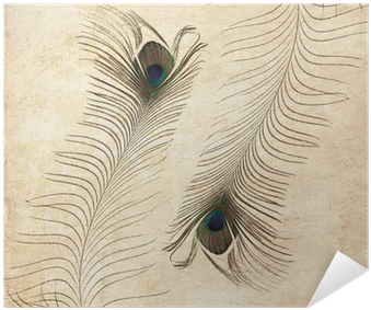 Textured Old Paper Background With Peacock Feather - Paper (400x400), Png Download