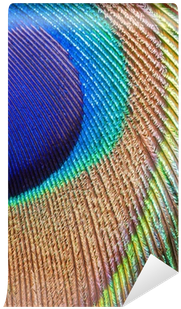 Peacock Feather Png Peacock Feather Closeup Vinyl Wall - Wall (400x400), Png Download