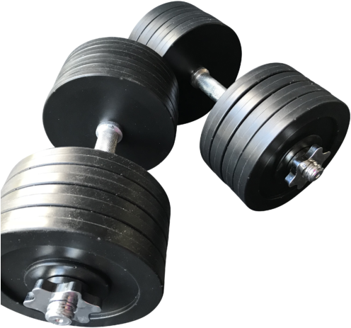 Fake Dumbbell Weights - Fake Dumbbell (500x500), Png Download