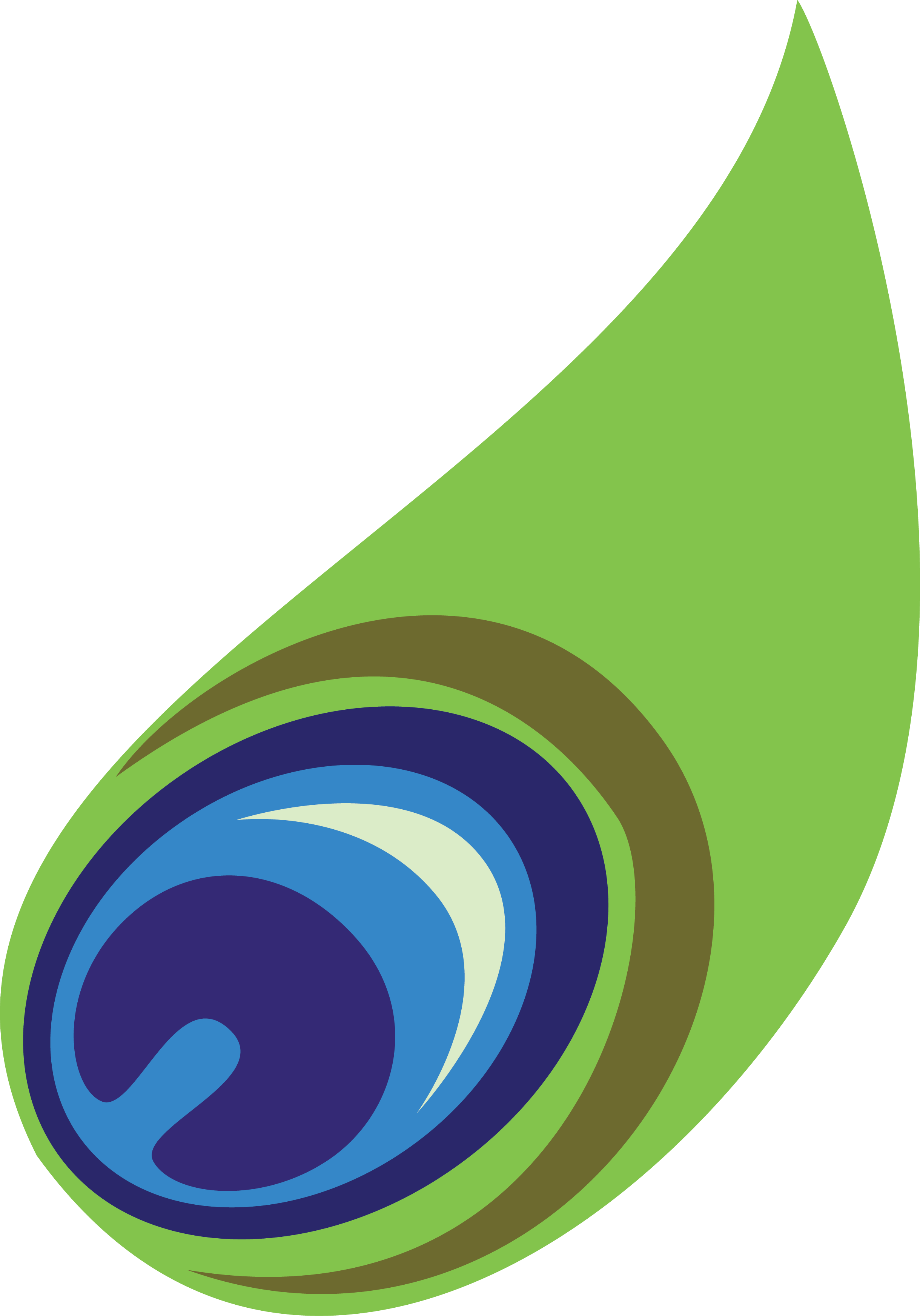 Png Coloured - Mor Pankh Clipart Png (2439x3488), Png Download