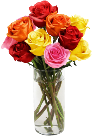 Accessories - Vase (480x480), Png Download