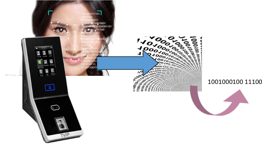 Biometric Door Reader Encoding - Zkaccess Probio Multi-biometric Face & Fingerprint (1132x645), Png Download