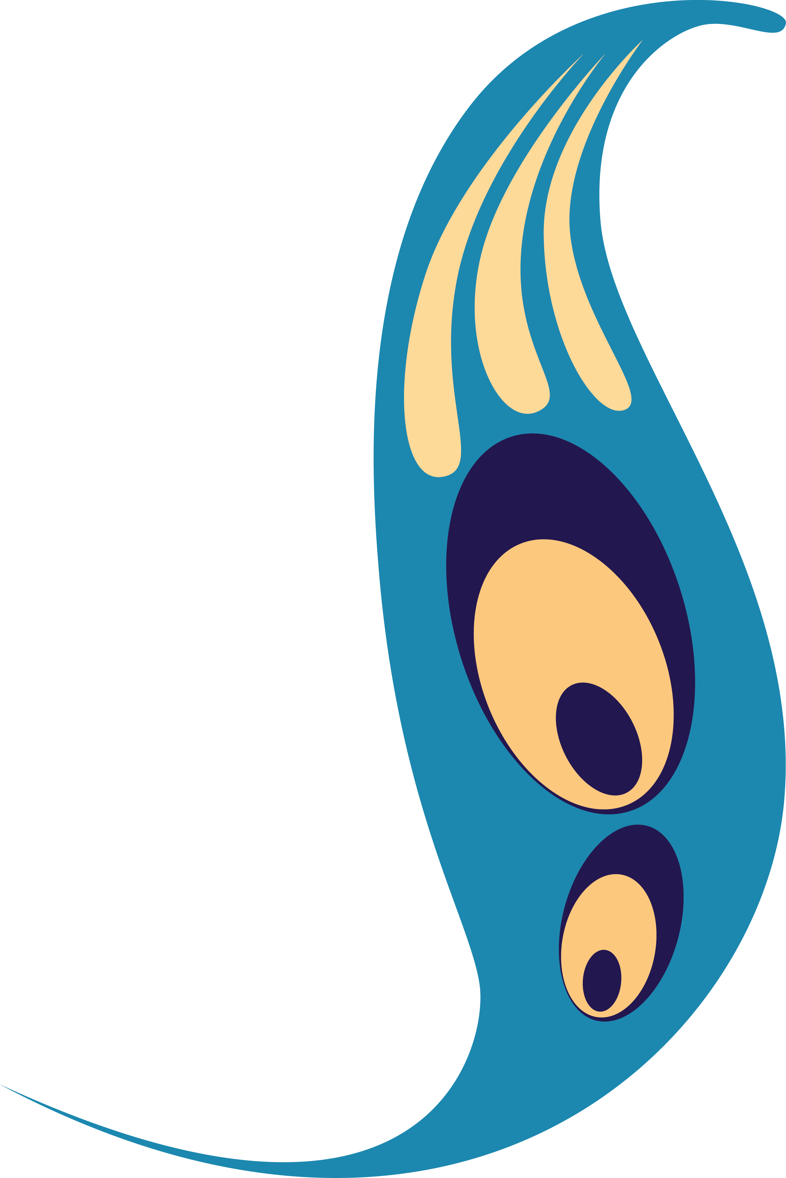 Png Coloured (2564x3839), Png Download