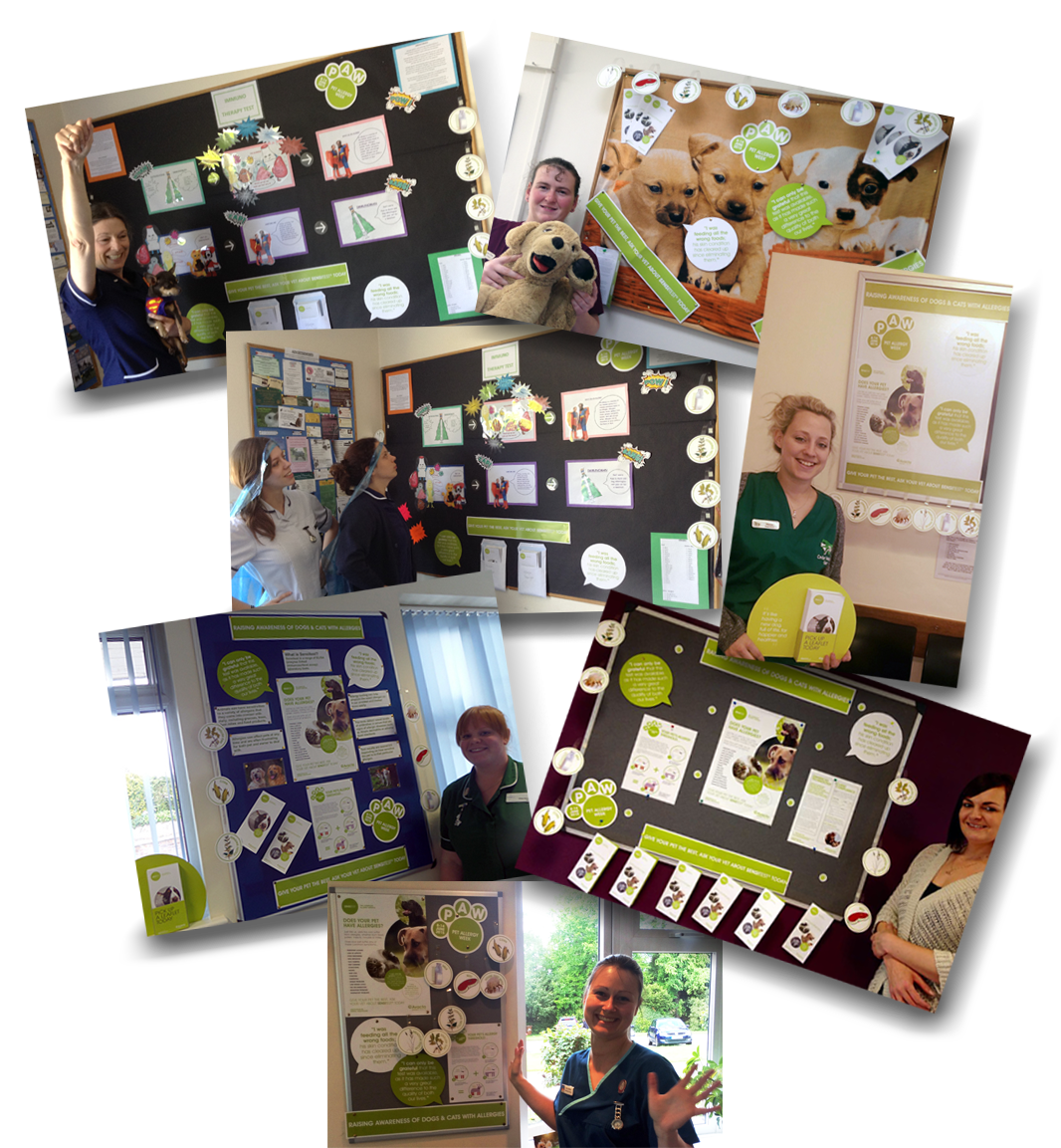 Paw Collage Display - Collage (1084x1188), Png Download