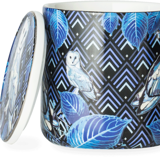 Birds Of A Feather Owl Mug With Infuser - Mug (555x555), Png Download