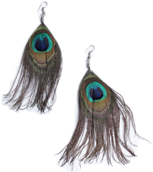 African Peacock Feather Hook Earrings - Earrings (600x600), Png Download
