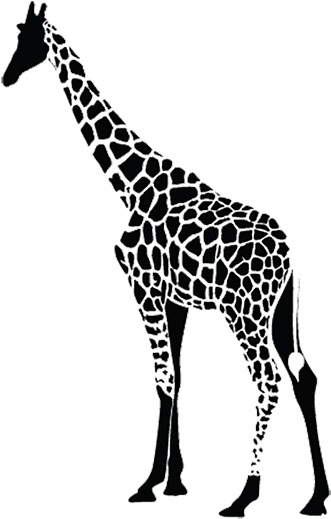 Enter The Black Giraffe Dancing Adventure Raffle To - Giraffe Black And White Png (360x581), Png Download