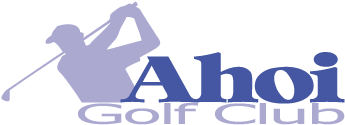 Logo Ahoi Golf Club Png - Custom Printed Logo Libbey Golf Pint Glasses - 5330 (400x400), Png Download