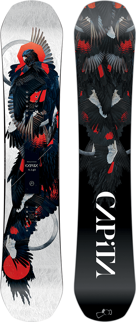 Capita Birds Of A Feather (580x1450), Png Download