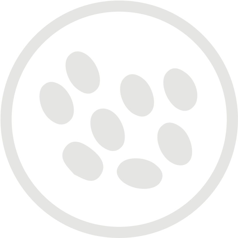 Download Svg Download Png - Icon (1024x1024), Png Download