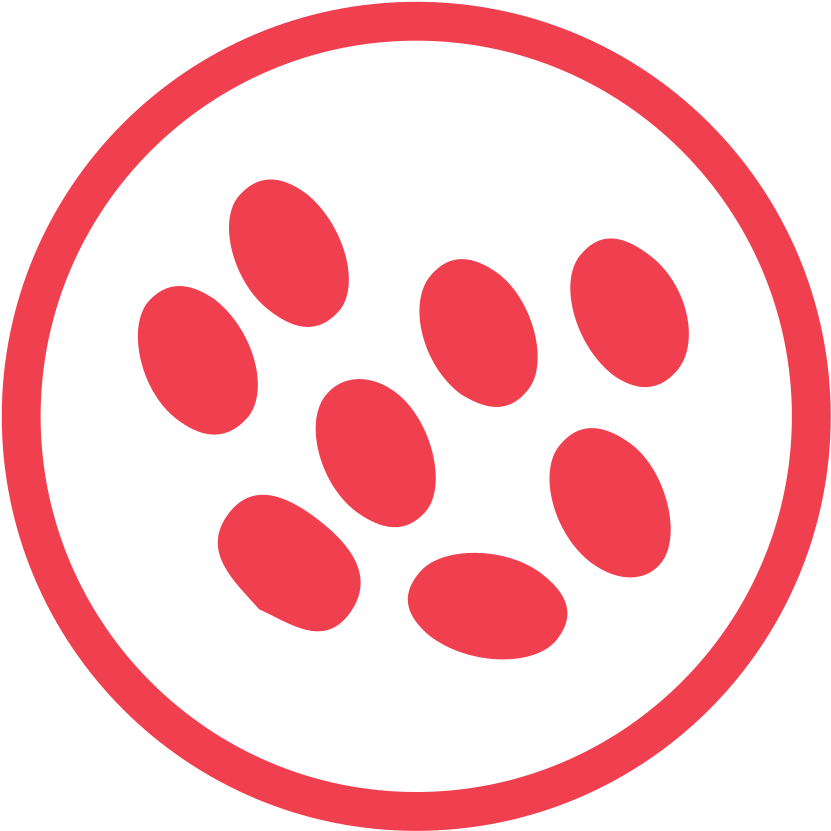 Download Svg Download Png - Sesame Allergy Icon (1024x1024), Png Download