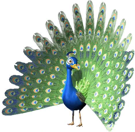 00am, -, - Peafowl (469x456), Png Download