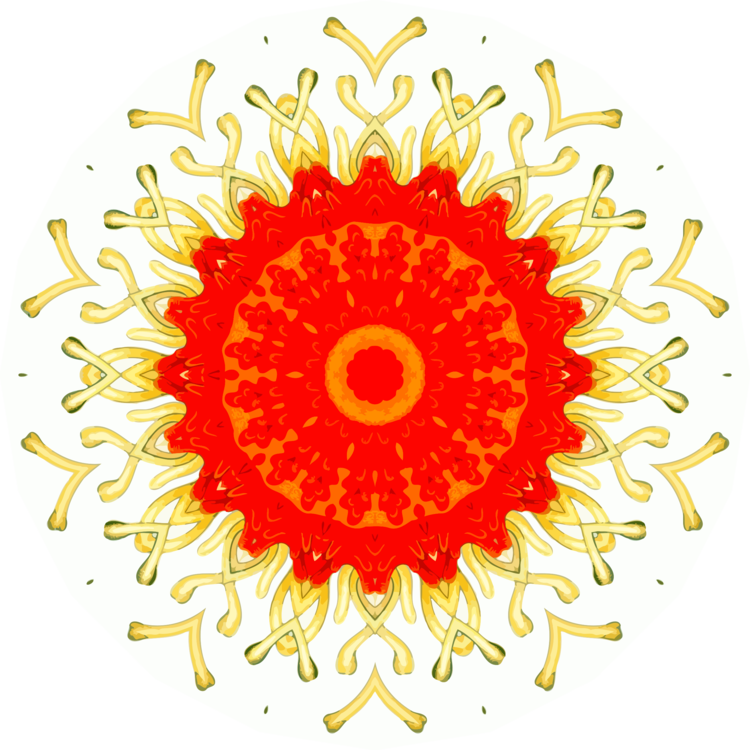 Holi Business - Hrd Attestation Hyderabad (750x750), Png Download