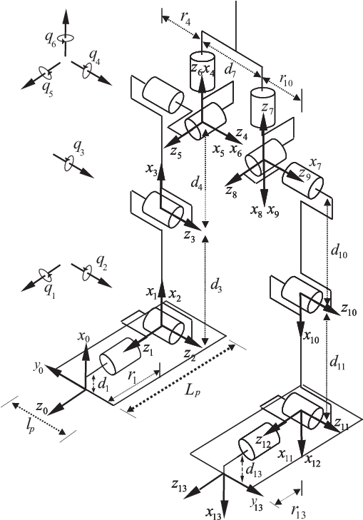 The Multi-body Model And Link Frames Of The Bipedal - Humanoid Robot (508x735), Png Download