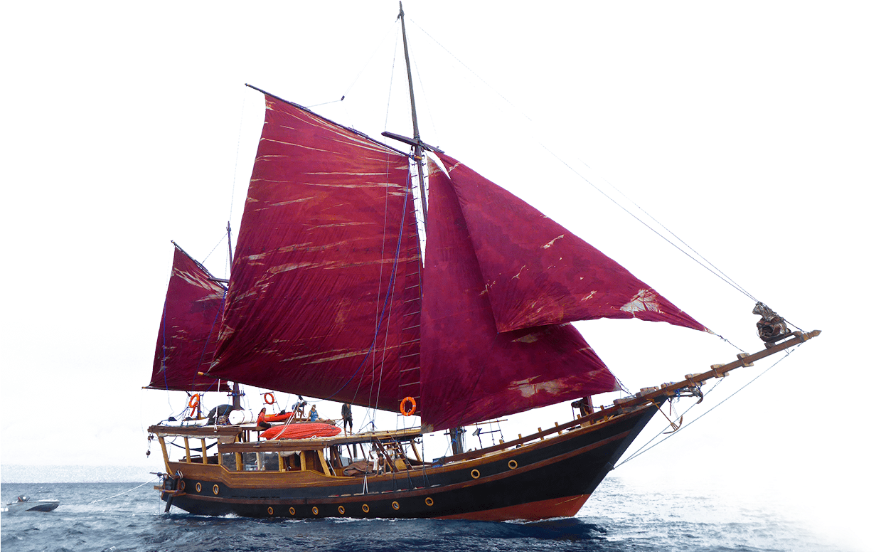 Sail (1611x856), Png Download