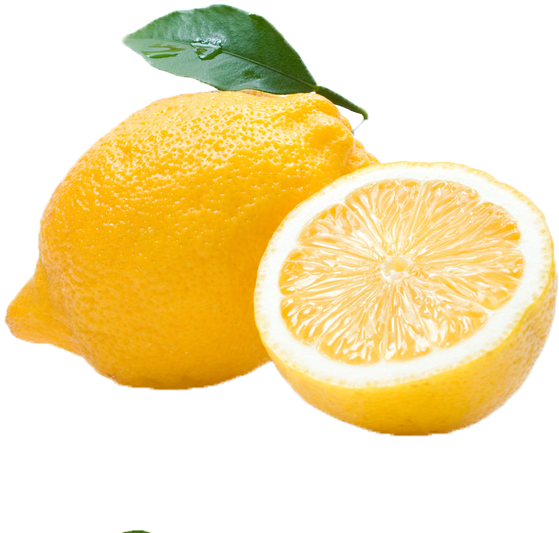 Common Citrus Fruit Png - Culti Stile Room Diffuser - Terra - 500ml/16.6oz (716x615), Png Download
