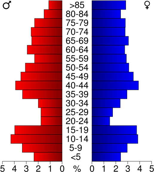 Usa Big Stone County, Minnesota Age Pyramid - Population Pyramid Of Palm Beach County (520x600), Png Download