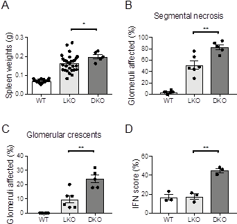 Nataraja, None - Diagram (382x343), Png Download