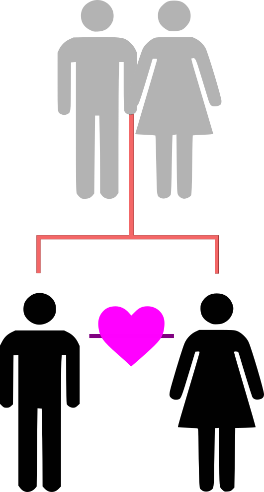 Brother-sister - Miss Me With That Gay Shit Memes (531x990), Png Download