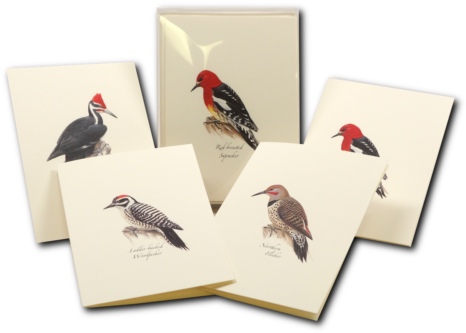 Shopping Cart -  -  - Steven M. Lewers Earth Sky Water Lewersnc107 Peterson (500x500), Png Download