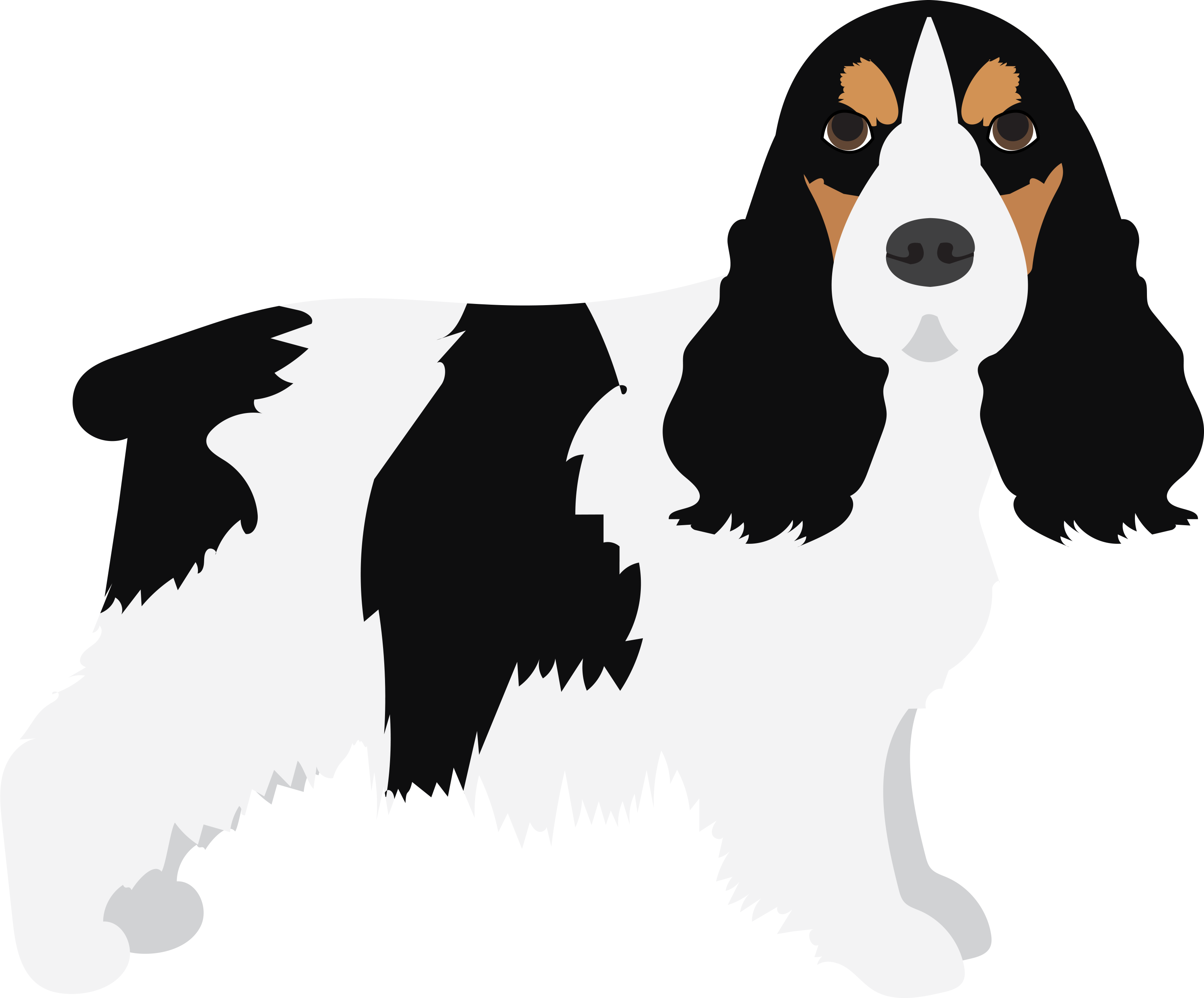 English Cocker Spaniel (3102x2571), Png Download