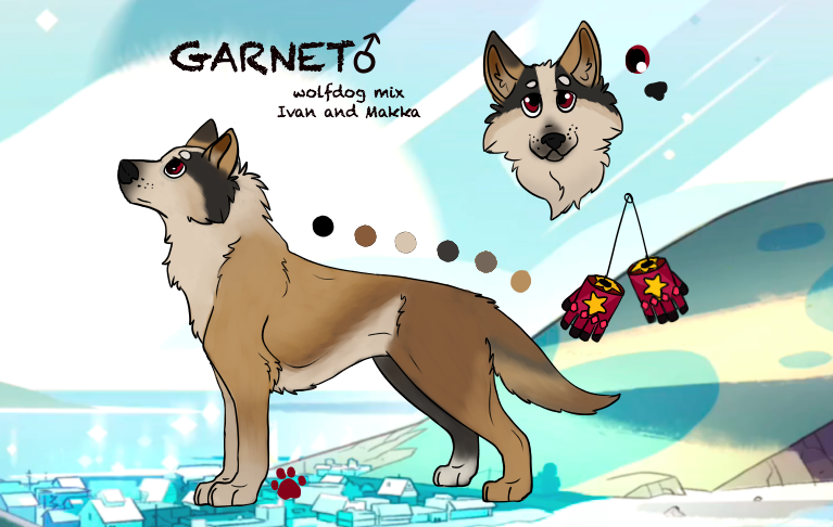 Yes - Norwegian Lundehund (767x486), Png Download