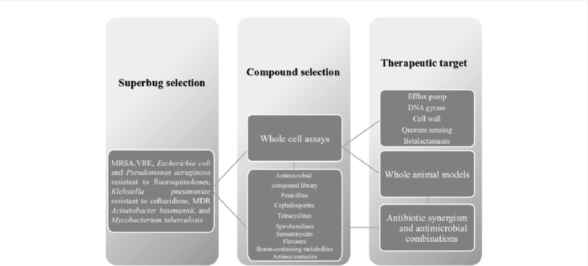 Integrative Model In An Antimicrobial Adjuvant Drug - Architecture (850x385), Png Download