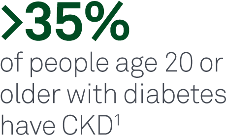 Diabetes Is The Leading Cause Of Chronic Kidney Disease - Chronic Kidney Disease (475x300), Png Download