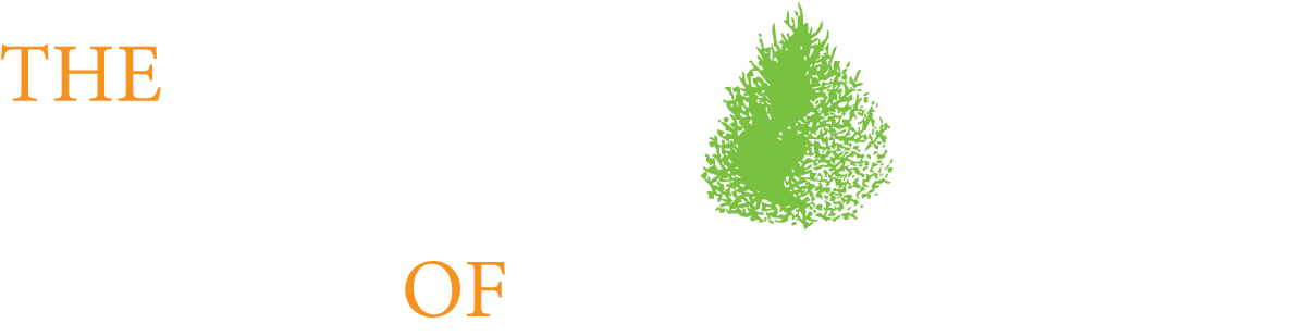 Princeton, Nj - Rosslyn Chapel (1203x322), Png Download