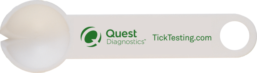 Stay Safe Out There - Banner (870x250), Png Download