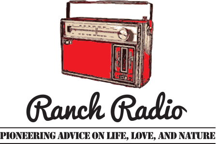 Ranch Radio Leadership Podcast - Various Artists / The Ultimate Easy Listening Radio (447x298), Png Download