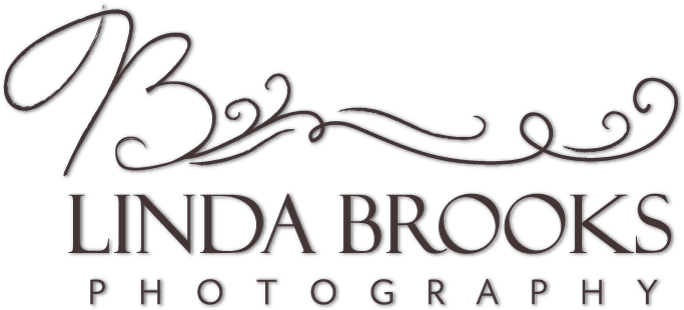 Linda Brooks Photography (700x311), Png Download