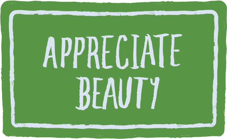 Beautiful Streets Show A Commitment To Making A Place - Street (801x801), Png Download