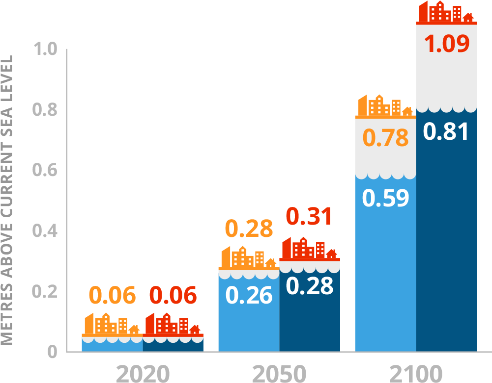 Carters Point, Ns - Seal Cove (1000x823), Png Download