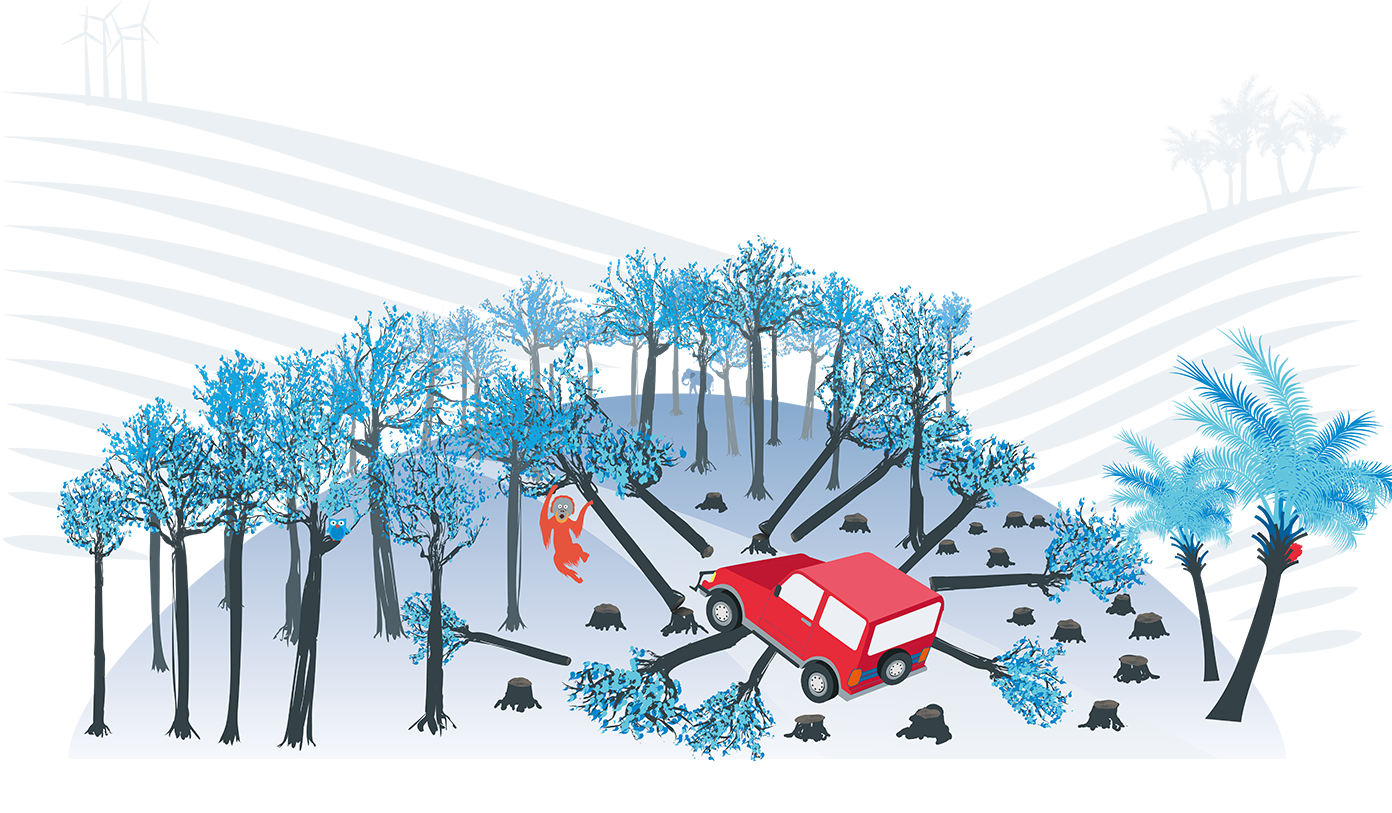 Front Cover Image From The Driving Deforestation Report (1392x813), Png Download