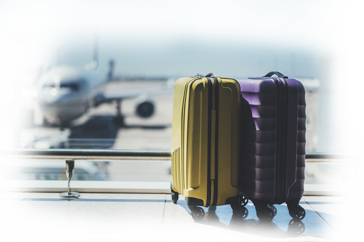 Dobra-destaque - Baggage (728x485), Png Download