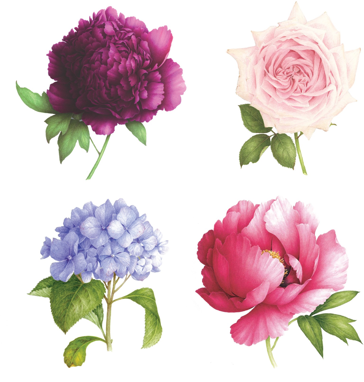 Perennial Set - Scented Floral Temporary Tattoos (2048x2048), Png Download