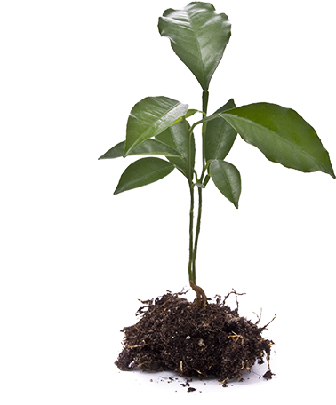 Agronomic Data - Stock Photography (457x455), Png Download