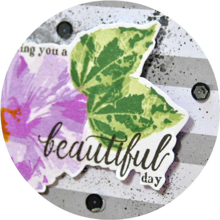 Perennial Beauty - Circle (1600x1071), Png Download