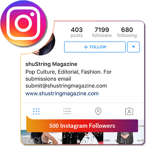 Buy 500 Instagram Followers - 1000 Followers On Insta (499x499), Png Download