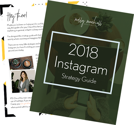 Get Your Free 2018 Instagram Guide - Instagram (464x436), Png Download