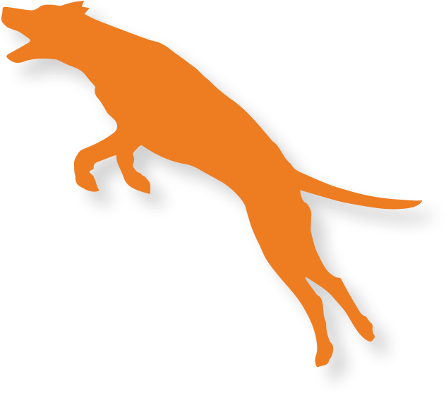 Patented Collagen Extract That Helps Support The Normal - Dog Catches Something (671x586), Png Download