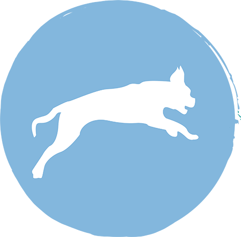 Immune Support - Immune System (472x464), Png Download