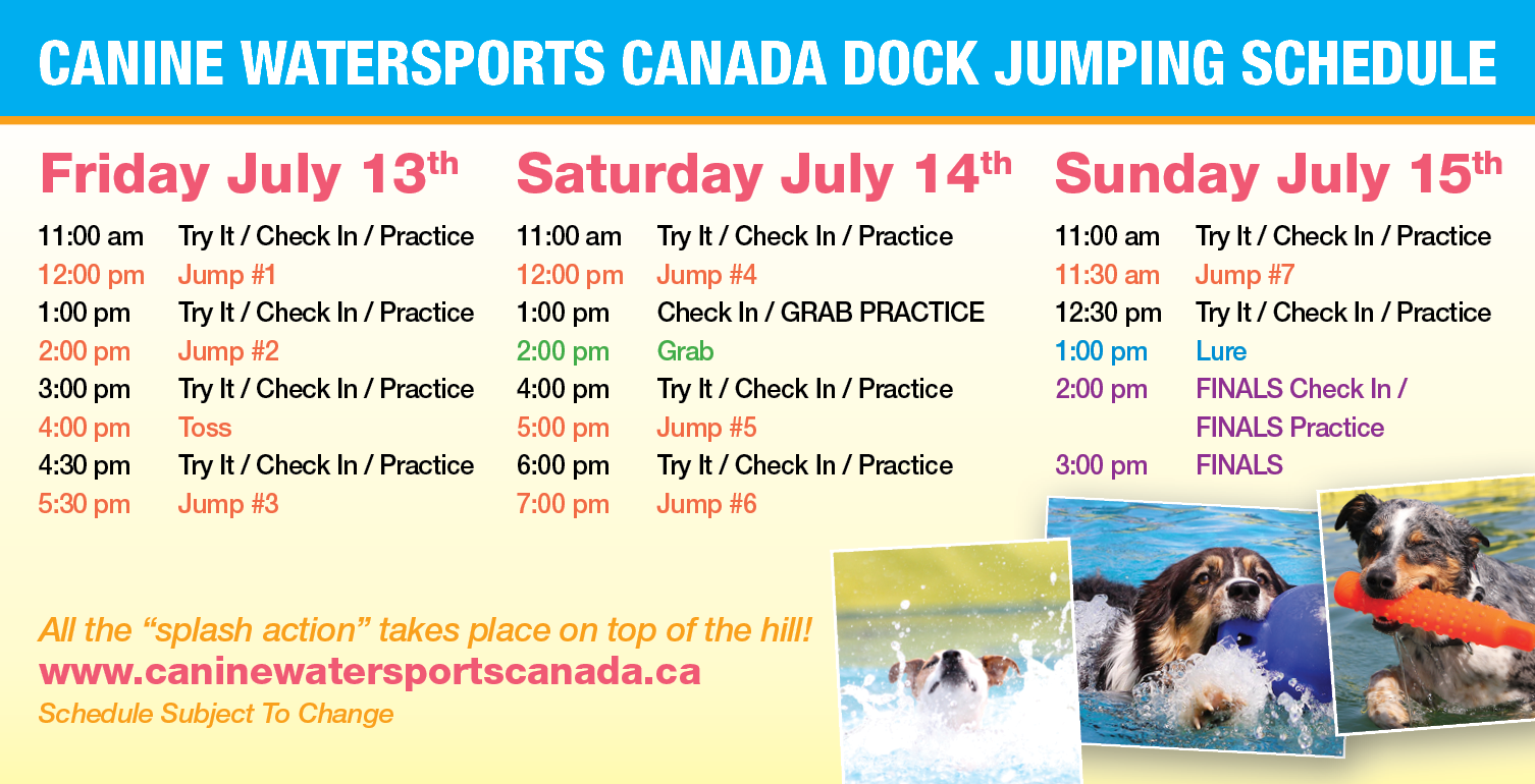 Canine Watersports Canada - Companion Dog (1506x770), Png Download