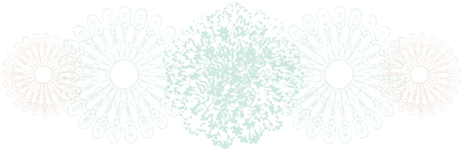 About Tyrone - - Barberton Daisy (1000x323), Png Download