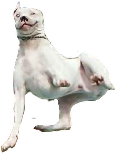 Report Abuse - Dog (376x500), Png Download