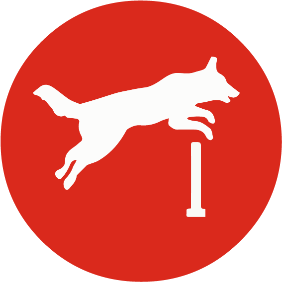 Agility Course - Flat Design (600x600), Png Download